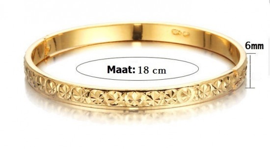 Ad2109 gold plated slavenarmband dames 1