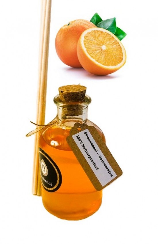 Hg8004  sinaasappel 1