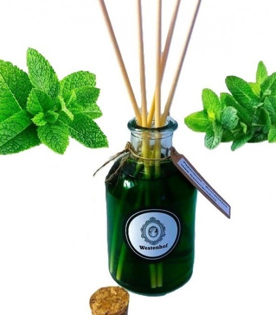 Hg8005 2 geurstokjes   pepermunt plant