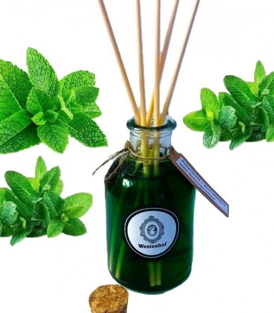 Hg8005 2 geurstokjes   pepermunt