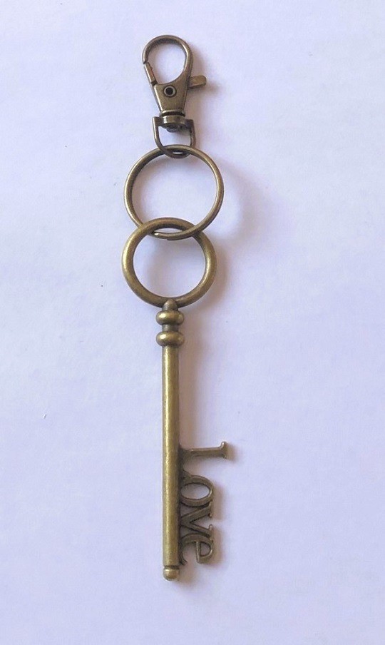 Hsa26025 2