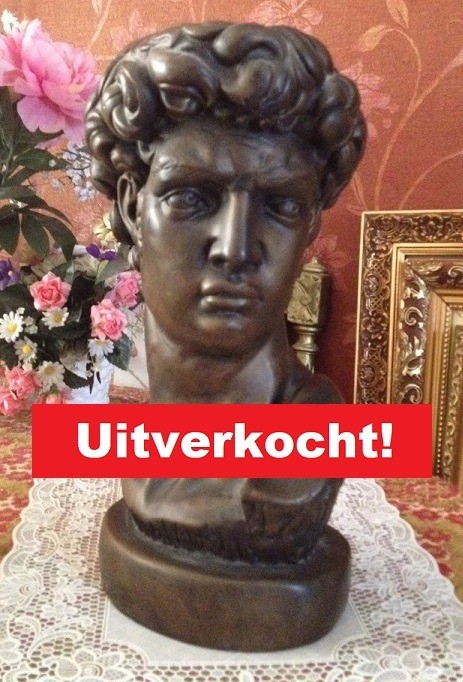 Michel angelo borstbeeld 1   beeld antiek