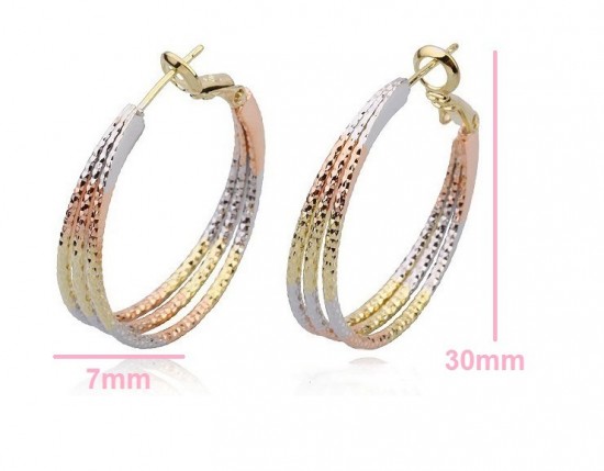 Od2037 14k tricolor oorringen 6