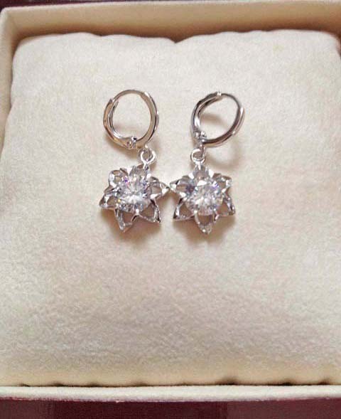 Sku od2025 18k wit oorhangers 3