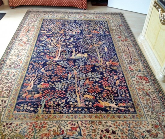 Thumbnailfullsizerender 1 0