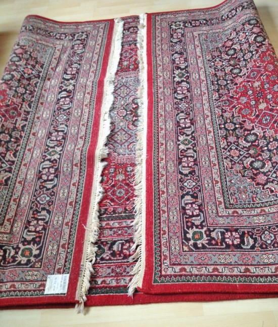 Thumbnailfullsizerender 29