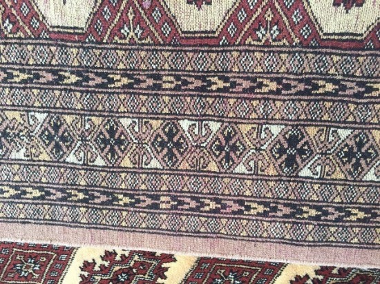 Tt1079 bokhara bruinoudroze 12