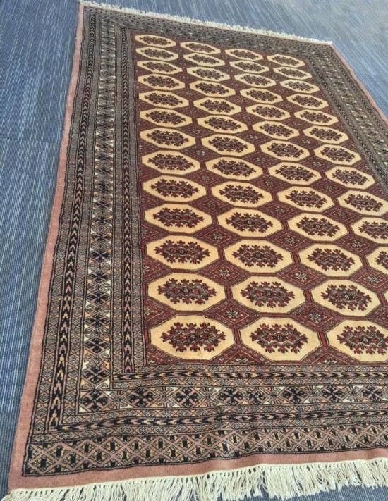 Tt1079 bokhara bruinoudroze 4