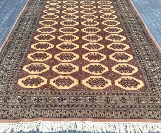 Tt1079 bokhara bruinoudroze 8